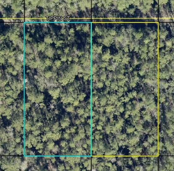 Property for sale at Tract 596 TIPPIN ST, HASTINGS, FL, 32145