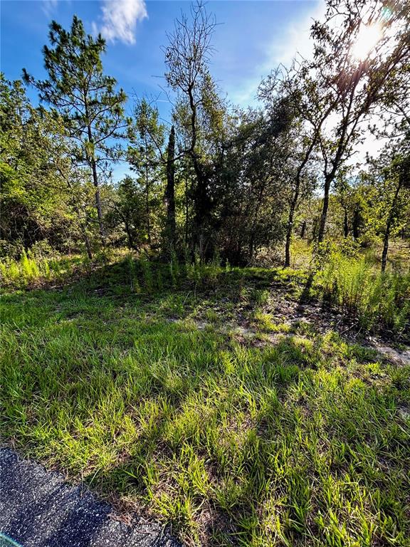 Property for sale at Lot 24 SE 136 TERRACE, DUNNELLON, FL, 34431