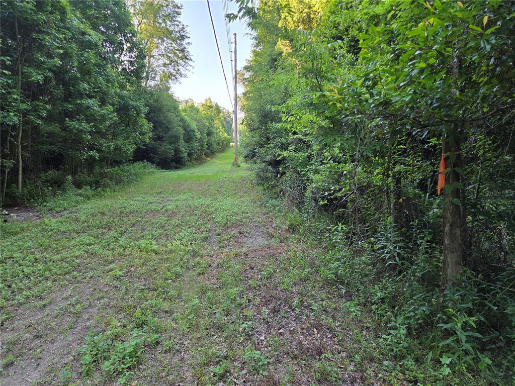 Property for sale at 15929 NW 135TH TERRACE, ALACHUA, FL, 32615
