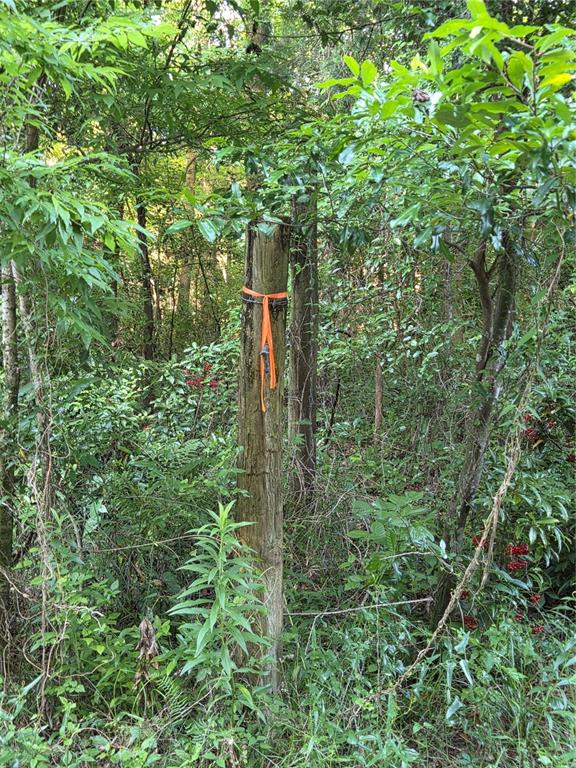 Property for sale at 15929 NW 135TH TERRACE, ALACHUA, FL, 32615