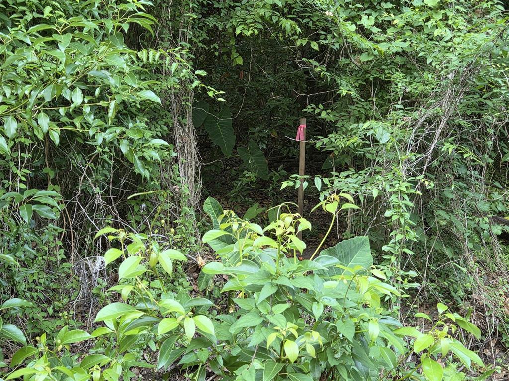 Property for sale at 15929 NW 135TH TERRACE, ALACHUA, FL, 32615