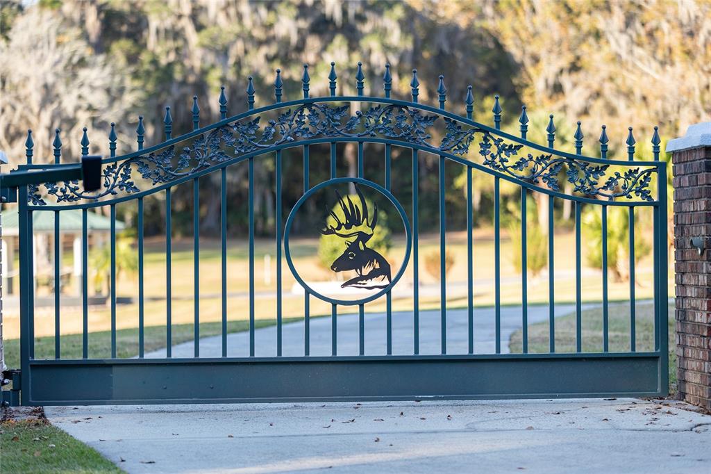 Property for sale at 255 SW 96TH LANE, OCALA, FL, 34476
