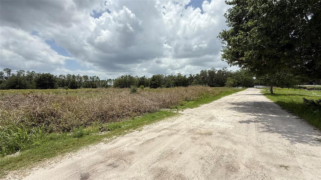 Property for sale at 29824 WELLS ROADS, WESLEY CHAPEL, FL, 33545