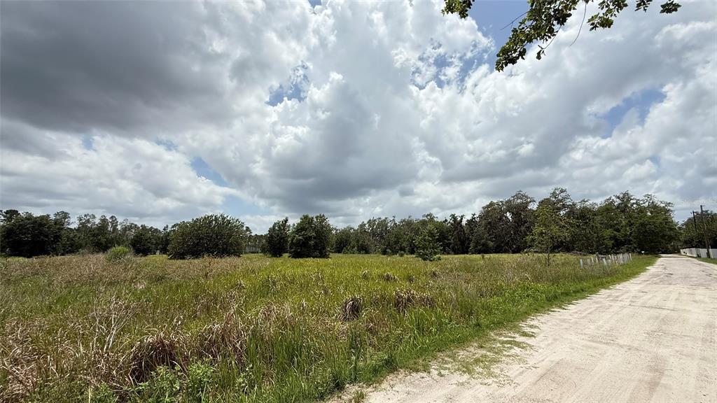 Property for sale at 29824 WELLS ROADS, WESLEY CHAPEL, FL, 33545