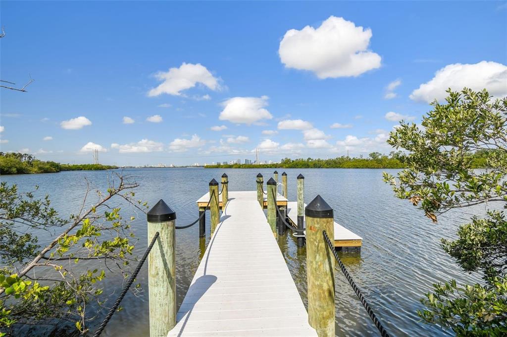 Property for sale at 4755 TUSCAN LOON DRIVE, TAMPA, FL, 33619