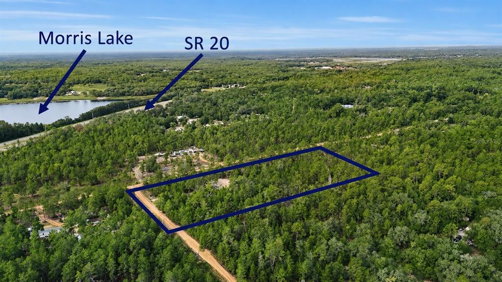 Bird's Eye View with Morris Lake