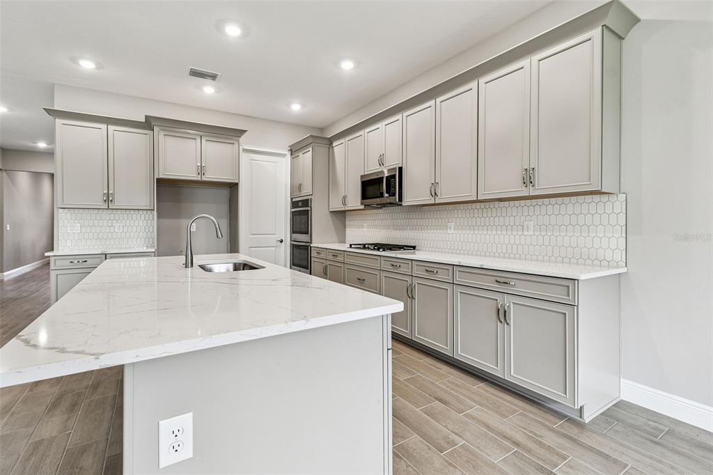 Property for sale at 12309 WHITE BLOSSOM COURT, PARRISH, FL, 34219