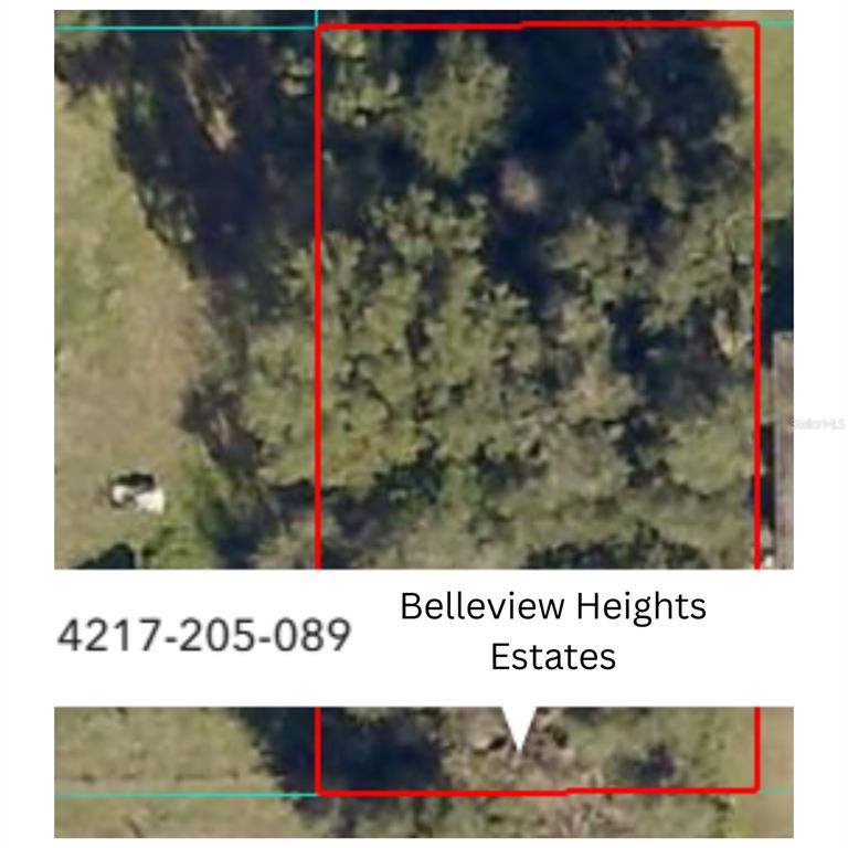 Property for sale at SE 141ST PLACE, SUMMERFIELD, FL, 34491