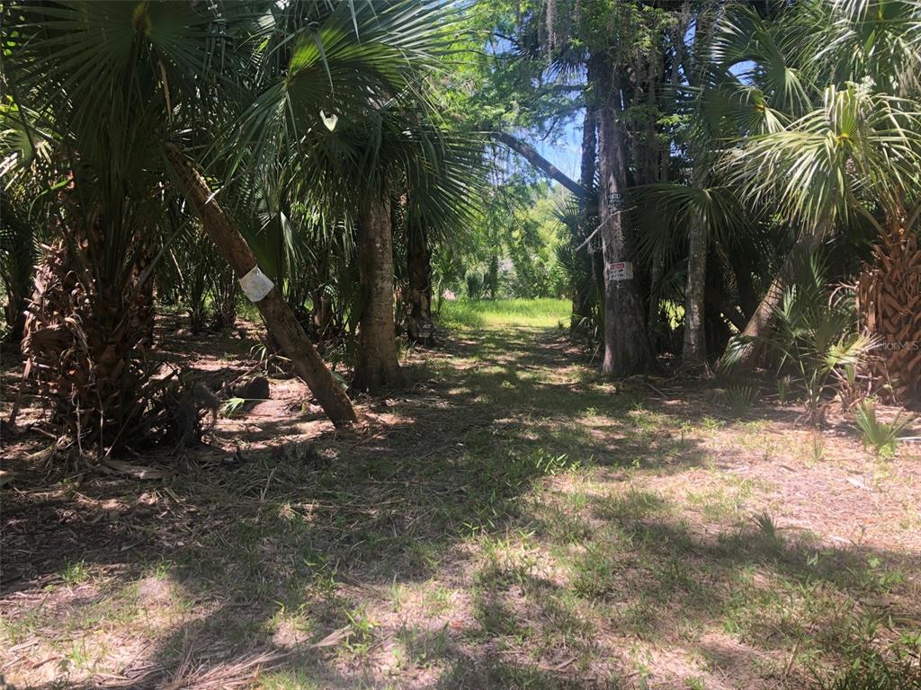 Property for sale at 241 NOVA DRIVE, SANFORD, FL, 32771