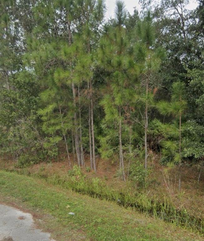 Property for sale at 1437 TERN COURT, POINCIANA, FL, 34759