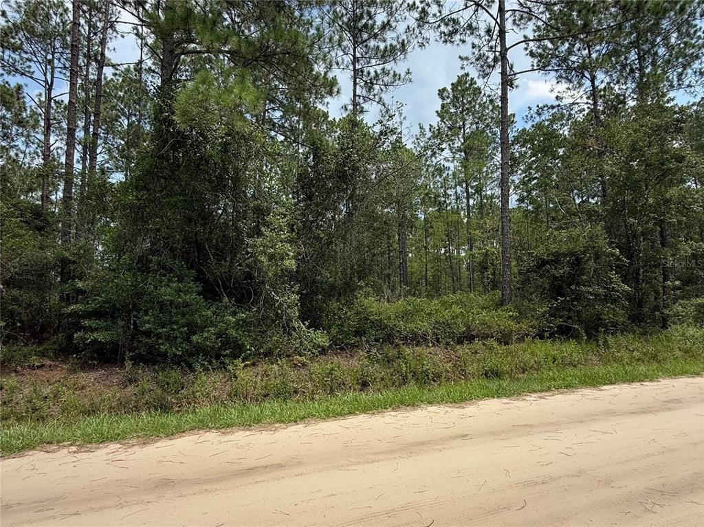 Property for sale at 10620 DELGADO AVENUE, HASTINGS, FL, 32145