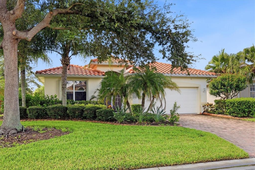 Mature Landscaping