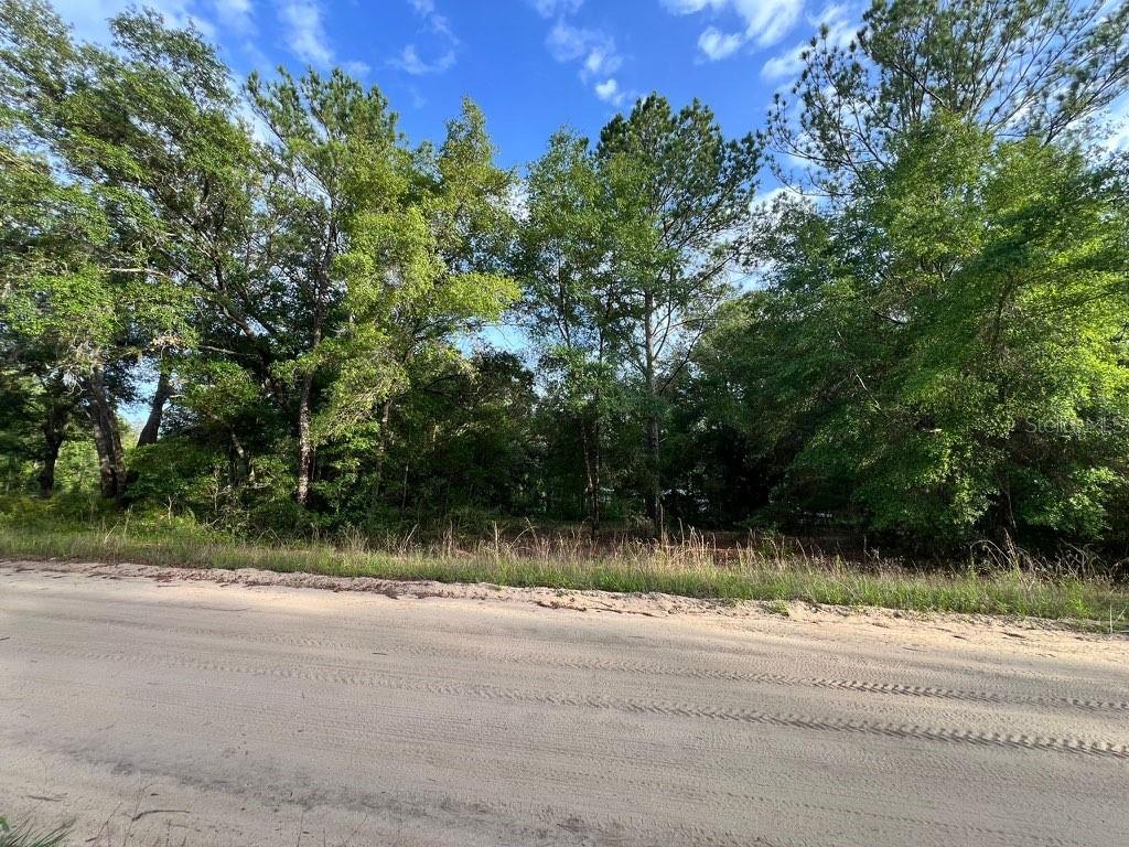 Property for sale at DECKER STREET LOT 12 13, INTERLACHEN, FL, 32148