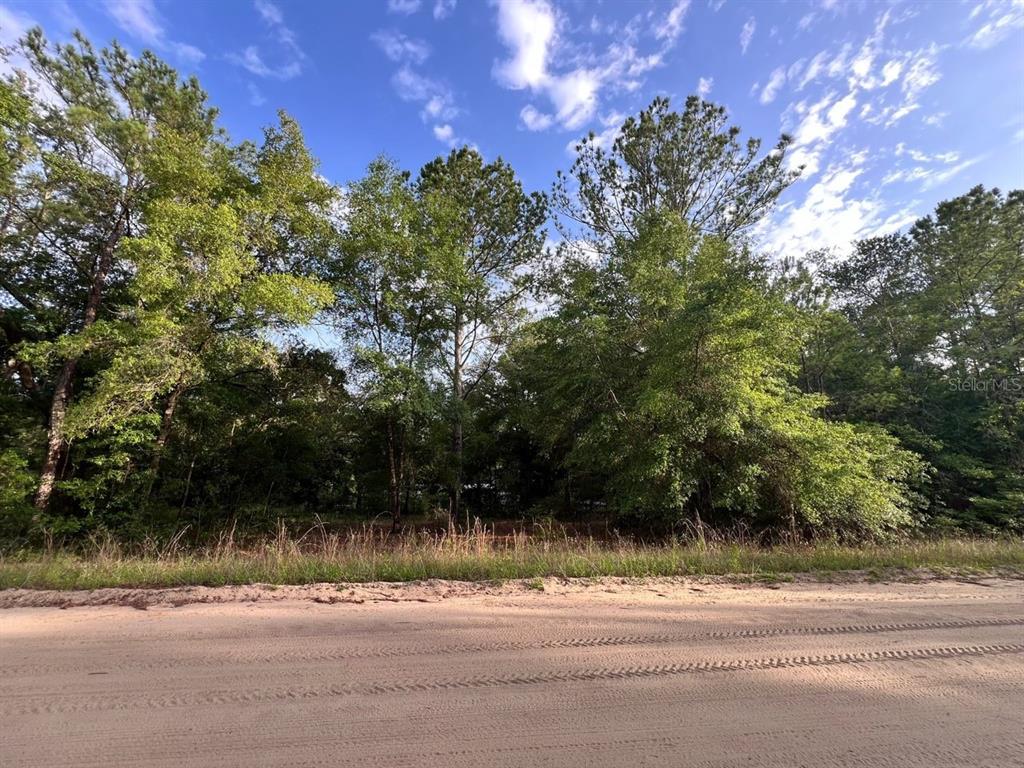 Property for sale at DECKER STREET LOT 12 13, INTERLACHEN, FL, 32148