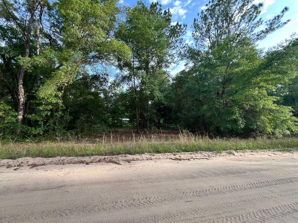 Property for sale at DECKER STREET LOT 12 13, INTERLACHEN, FL, 32148