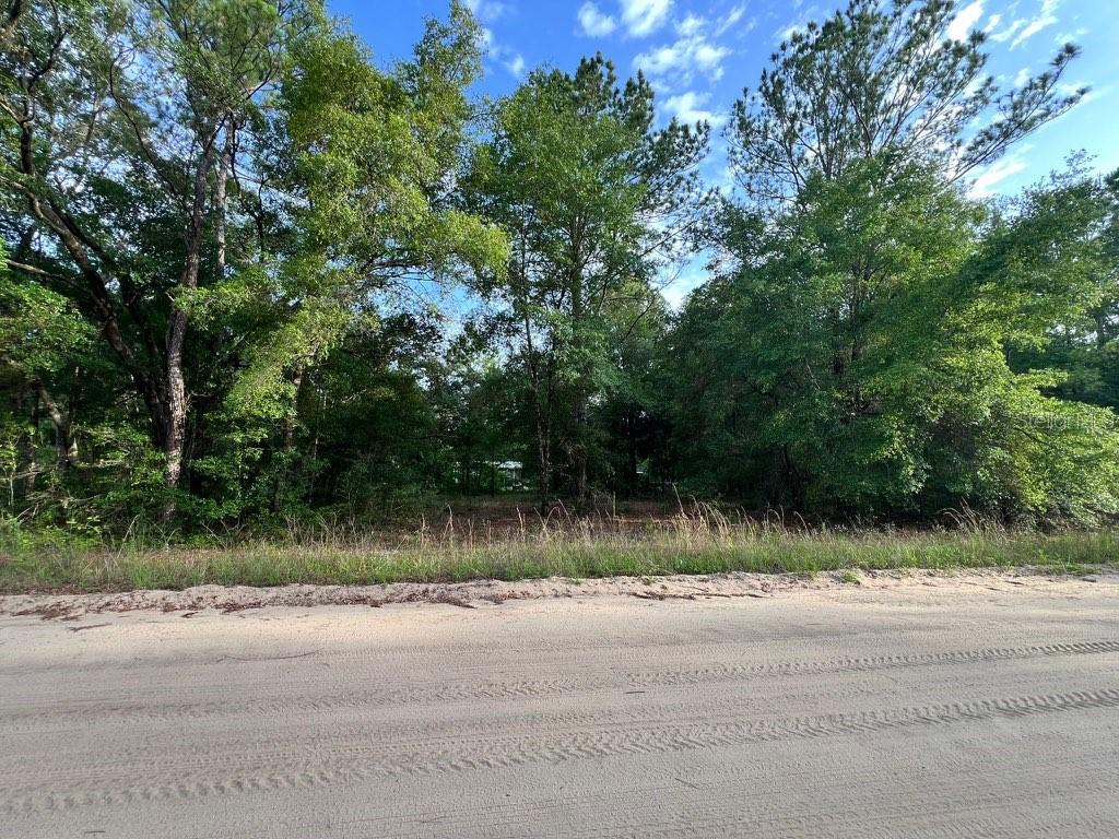 Property for sale at DECKER STREET LOT 12 13, INTERLACHEN, FL, 32148