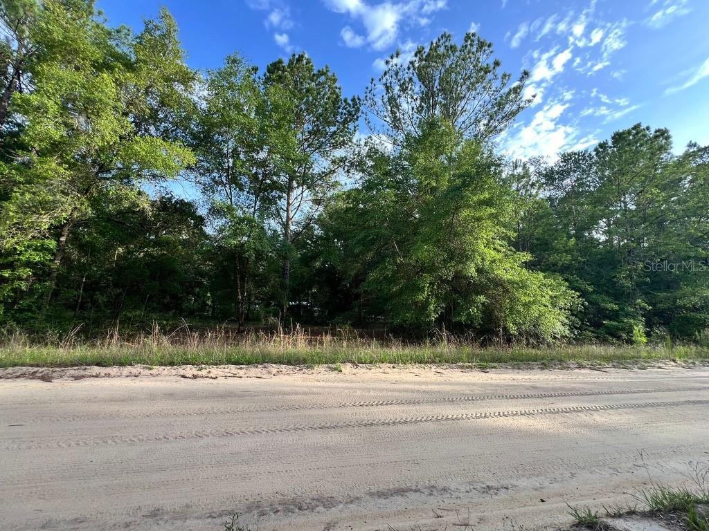 Property for sale at DECKER STREET LOT 12 13, INTERLACHEN, FL, 32148