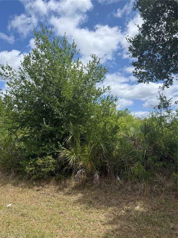 Property for sale at 12090 ZITTLE AVENUE, PORT CHARLOTTE, FL, 33981