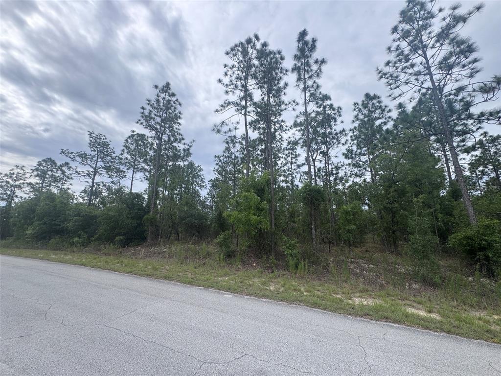 Property for sale at 0 SW EGDEWATER BOULEVARD, DUNNELLON, FL, 34431