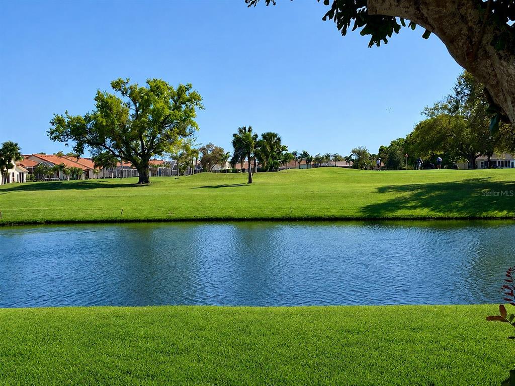 Lake and Fairway 6 from the lanai.
