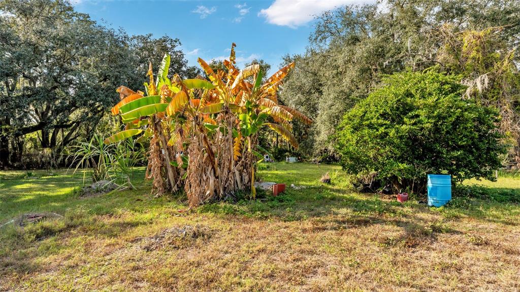 Property for sale at 23 VIOLET STREET, PLANT CITY, FL, 33563