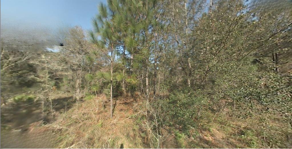 Property for sale at SW 22ND STREET, OCALA, FL, 34481