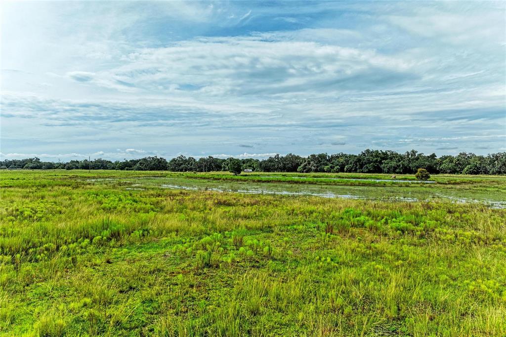 Property for sale at COKER GULLY ROAD, MYAKKA CITY, FL, 34251