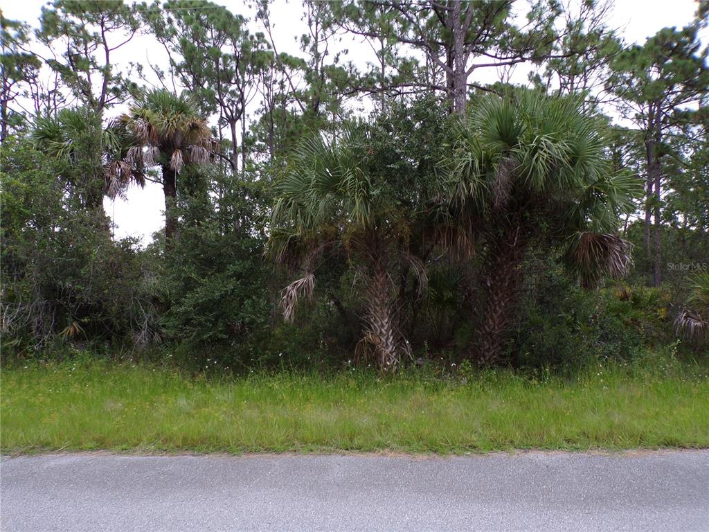 Property for sale at 14012 CARRIE AVENUE, PORT CHARLOTTE, FL, 33953