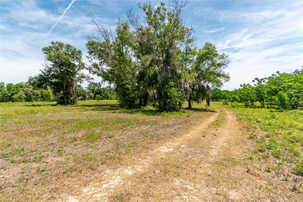 Property for sale at 0 ROLLING ACRES ROAD, LADY LAKE, FL, 32159