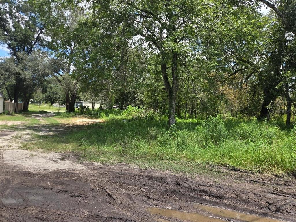 Property for sale at 39249 LIZABETH CIRCLE, ZEPHYRHILLS, FL, 33542
