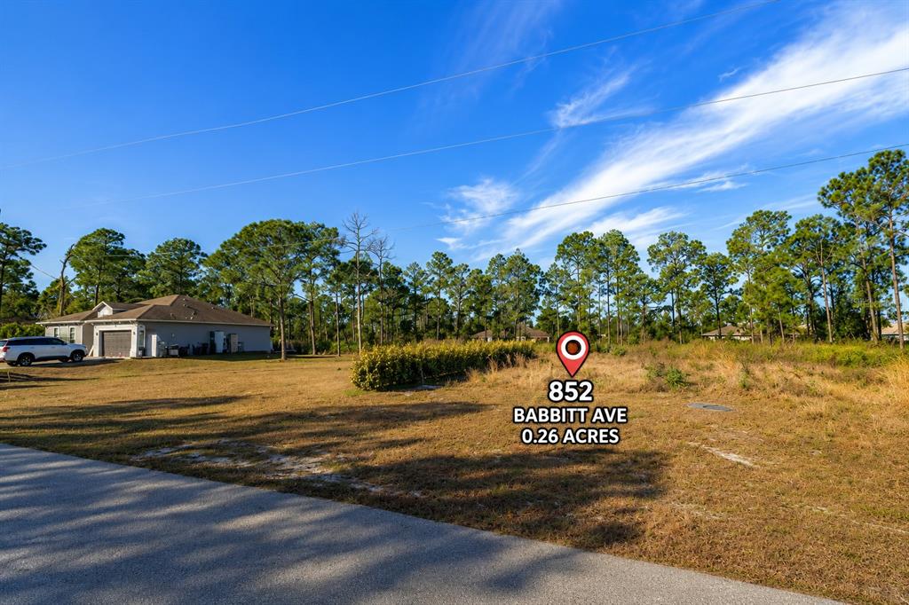 Property for sale at 852 BABBITT AVENUE, LEHIGH ACRES, FL, 33974