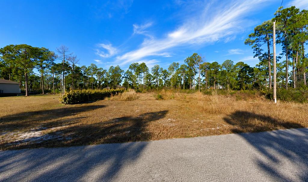 Property for sale at 852 BABBITT AVENUE, LEHIGH ACRES, FL, 33974