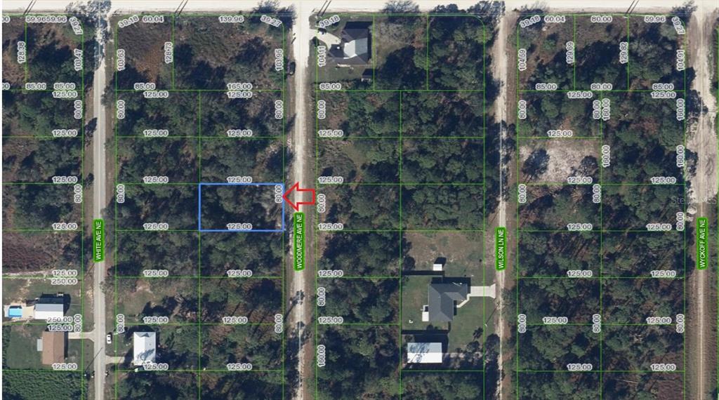 Property for sale at 107 WOODMERE AVENUE NE, LAKE PLACID, FL, 33852