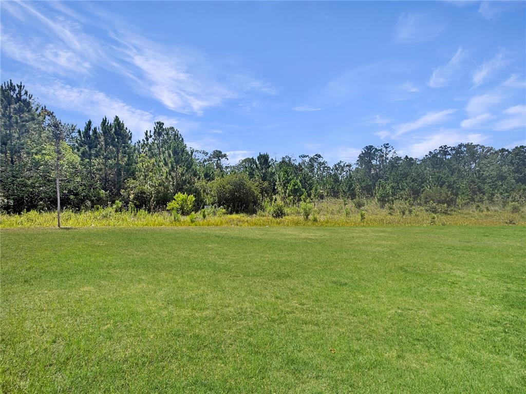 Backyard and Conservation View