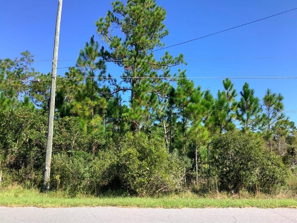 Property for sale at 00000 SHELDON STREET, ORLANDO, FL, 32833