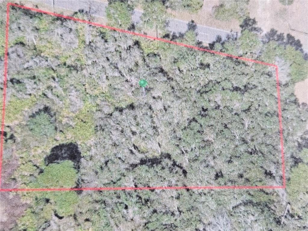 Property for sale at SPRING GARDEN RANCH ROAD, DE LEON SPRINGS, FL, 32130