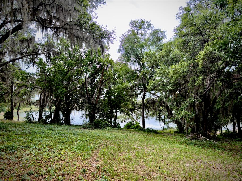 Property for sale at 00 SE 146TH TERRACE ROAD, OCKLAWAHA, FL, 32179