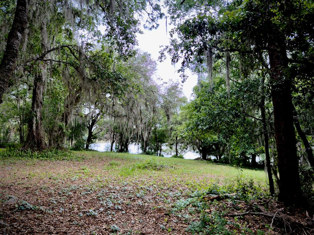 Property for sale at 00 SE 146TH TERRACE ROAD, OCKLAWAHA, FL, 32179