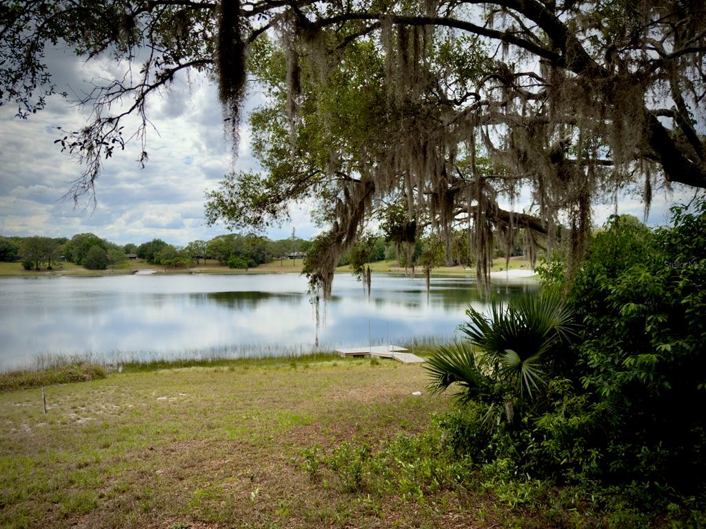 Property for sale at 00 SE 146TH TERRACE ROAD, OCKLAWAHA, FL, 32179