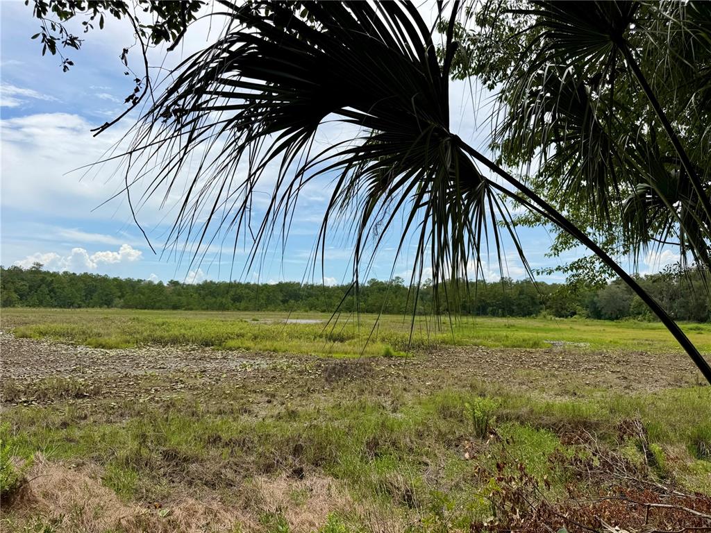 Property for sale at 14120 NE 110TH AVENUE ROAD, FORT MC COY, FL, 32134