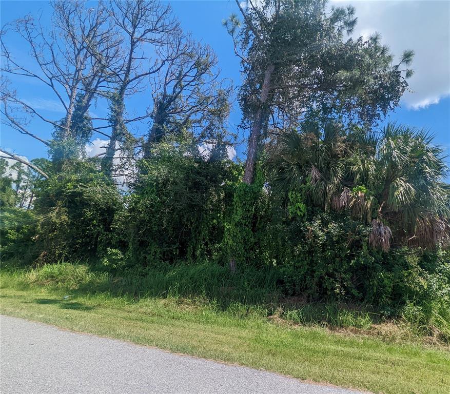 Property for sale at 13441 DRYSDALE AVENUE, PORT CHARLOTTE, FL, 33981