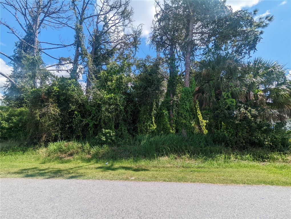 Property for sale at 13441 DRYSDALE AVENUE, PORT CHARLOTTE, FL, 33981