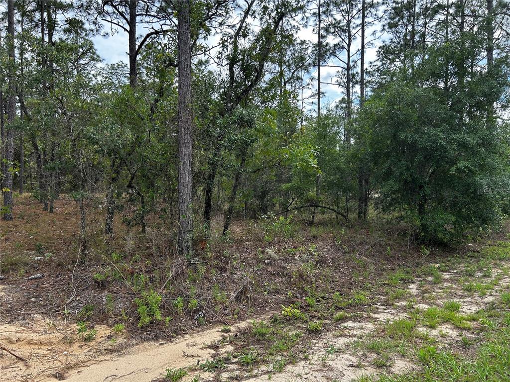 Property for sale at TBD NW FOXGLOVE LANE, DUNNELLON, FL, 34431