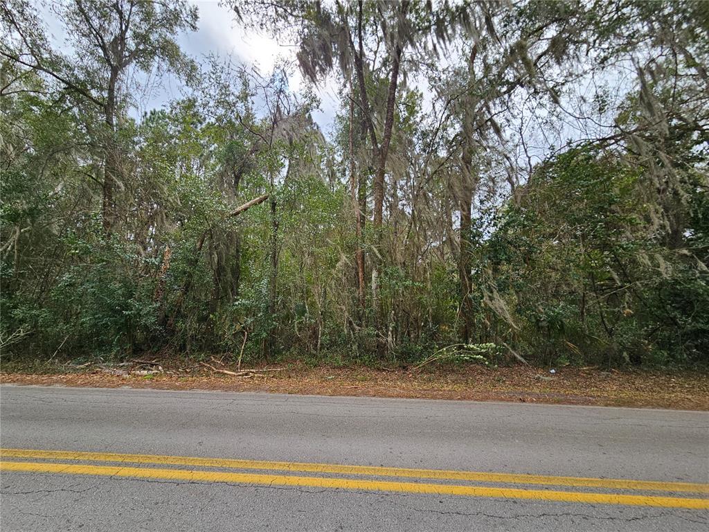 Property for sale at tbd SW 6TH AVENUE, WILLISTON, FL, 32696