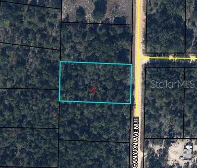 Property for sale at 0 CANYON AVENUE, ALFORD, FL, 32420