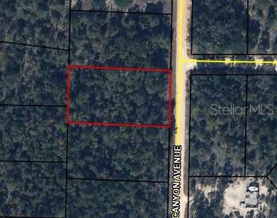 Property for sale at 0 CANYON AVENUE, ALFORD, FL, 32420
