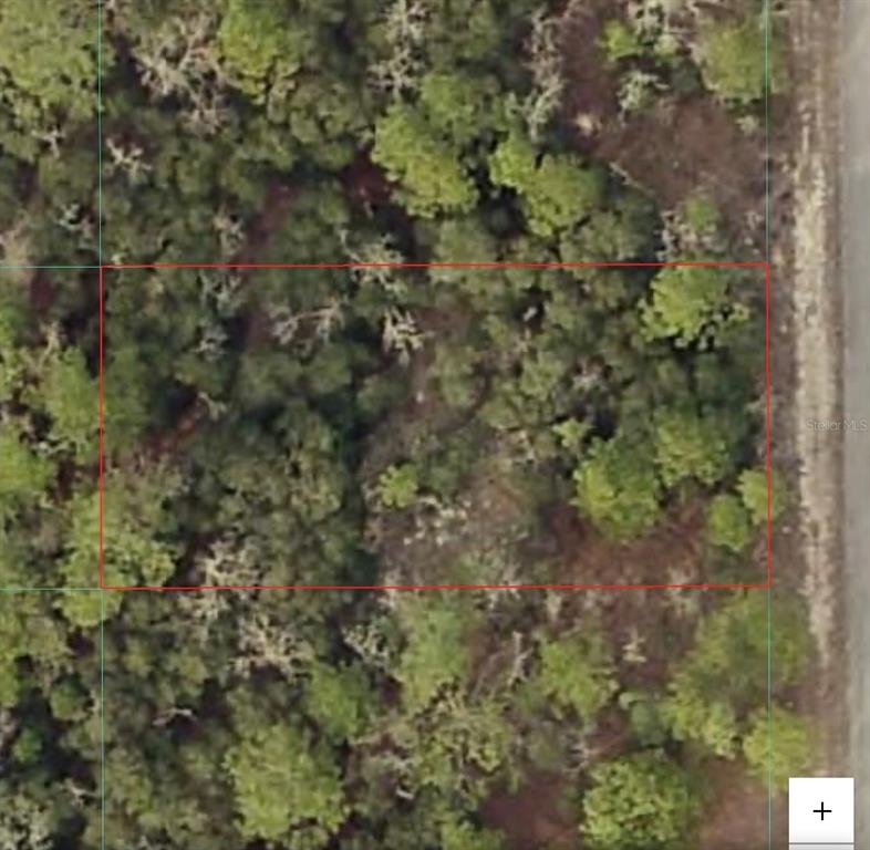 Property for sale at TBD SW SEAWEED AVENUE, DUNNELLON, FL, 34431
