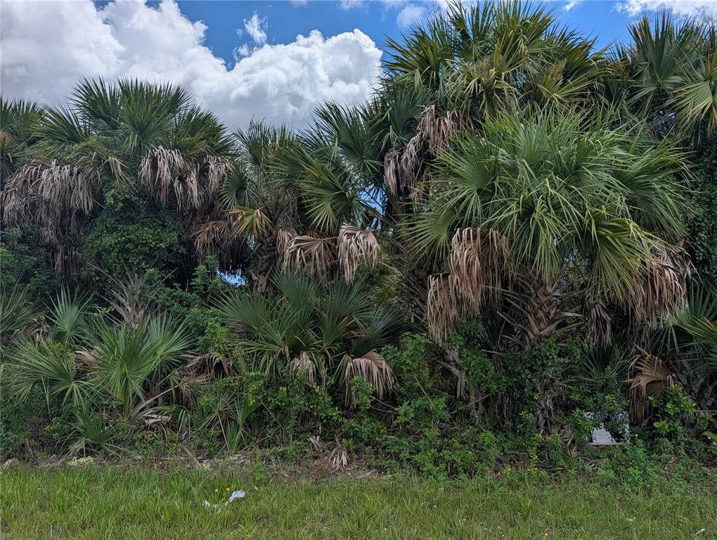 Property for sale at 13337 APPLETON BOULEVARD, PORT CHARLOTTE, FL, 33981