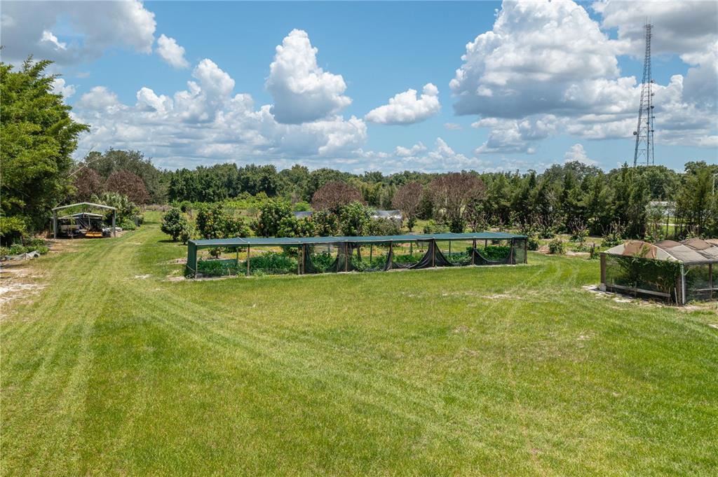 back of property