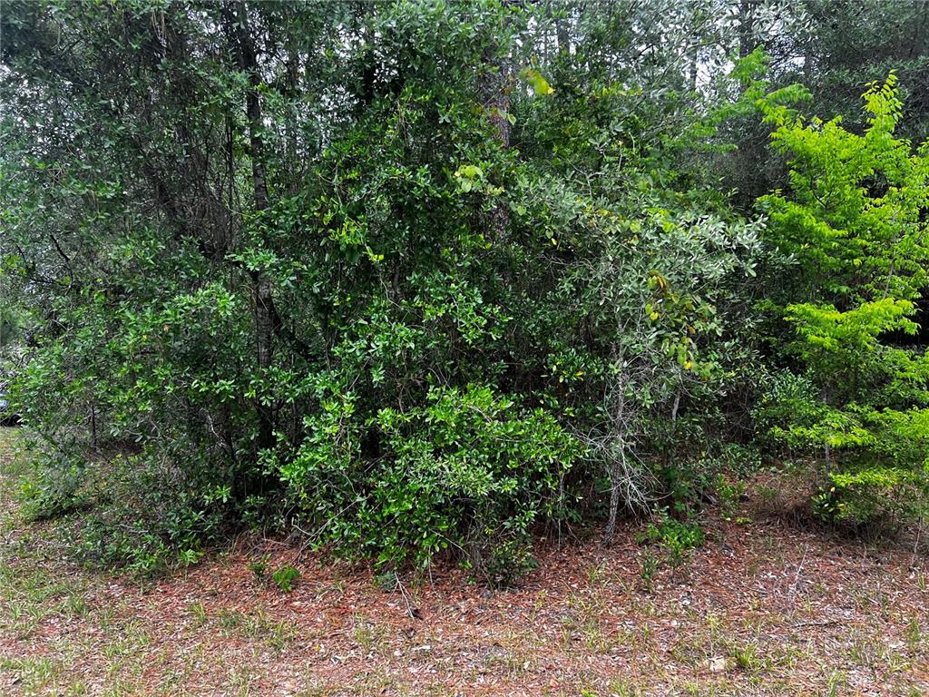 Property for sale at TBD SW 186TH CT., DUNNELLON, FL, 34432